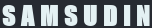 amsudin STDIIS